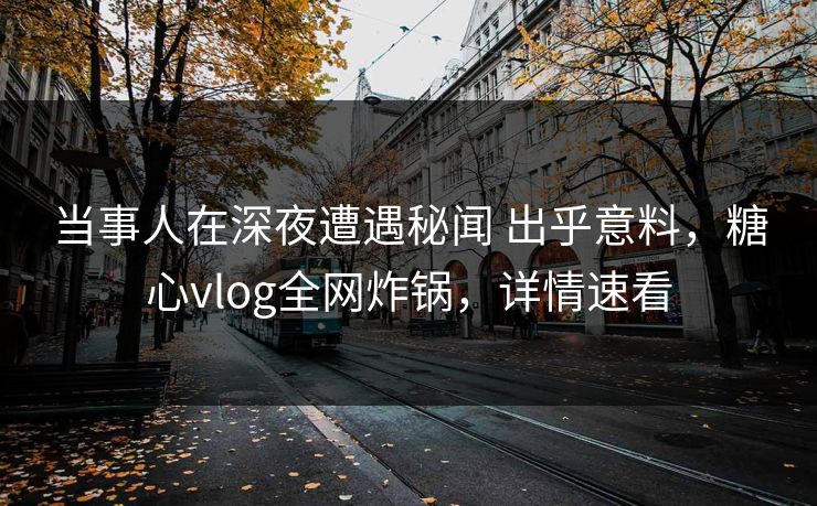 当事人在深夜遭遇秘闻 出乎意料，糖心vlog全网炸锅，详情速看