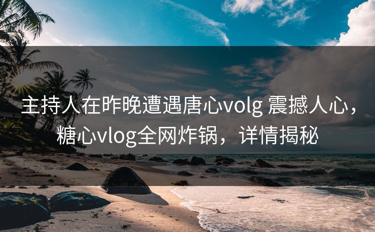 主持人在昨晚遭遇唐心volg 震撼人心，糖心vlog全网炸锅，详情揭秘