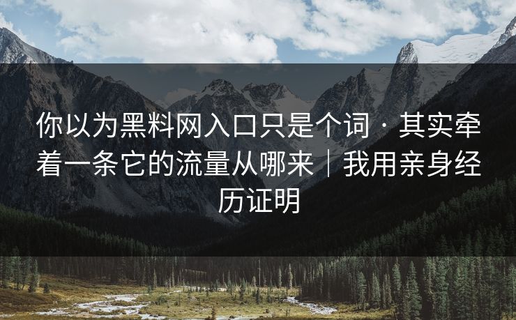 你以为黑料网入口只是个词 · 其实牵着一条它的流量从哪来｜我用亲身经历证明