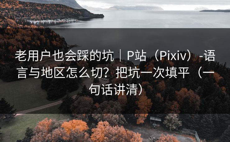 老用户也会踩的坑｜P站（Pixiv）-语言与地区怎么切？把坑一次填平（一句话讲清）